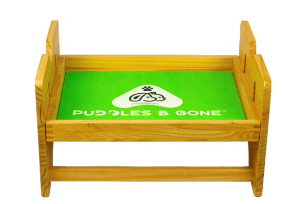 Pet Stand & Snuggle Bed | Green